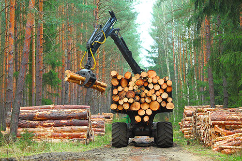Showcase your forestry construction business to your local area customers.