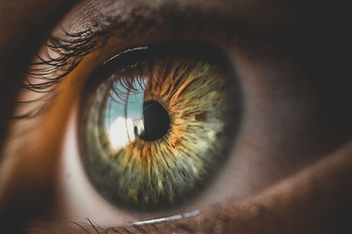 Showcase your Eye Care services local to your service area patients.